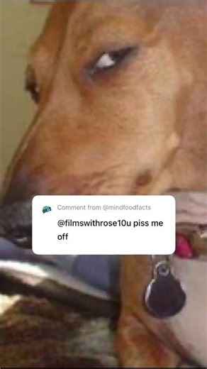 food facts baby, mcdonald’s job applications are pretty easy to get in, maybe u should try!! #nojob