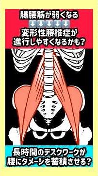 腸腰筋が弱ると…変形性腰椎症が進みやすくなるかも？