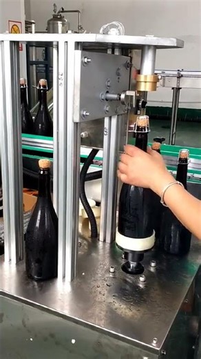 Semi-Auto Wire Twister Machine for Sparkling Wine & Champagne – #WinemakingTools #WineBottleCapping