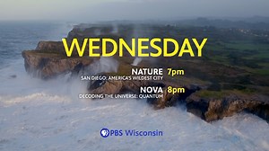 1.4K views · 13 reactions | Back-to-back new episodes of Nature | PBS...