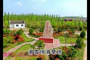 夏津黄河故道森林公园