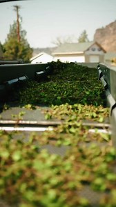 17 reactions · 3 comments | Farmer Clay give us a look at the...