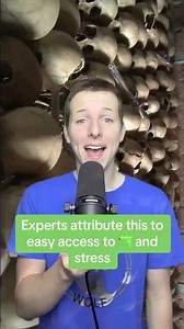 high stress jobs: top 3 professions with highest una-live rates