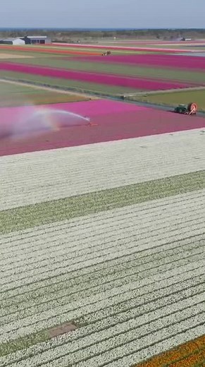 11 HOURS of 4K Enchanting Spring Nature Scenes Relaxing Piano Mu Part 48sic for Stress Relief-021