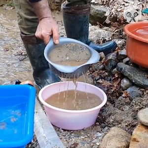 5K views · 16 reactions | Mining gold in a river bed Partner: ALTIN AVCISI 1 YT: https://www.youtube.com/c/ALTINAVCISI1 | Hungry Panda | Facebook