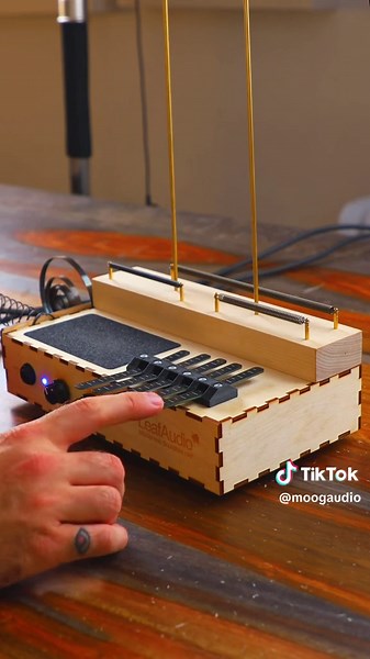 Leaf Audio’s Microphonic Soundbox mkii #leafaudio #dawless #thumbpiano #fxpedal #moogaudio