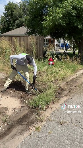 Transforming an Overgrown Yard into a Beautiful Home