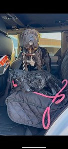 199K views · 10K reactions | There might be a little love story...