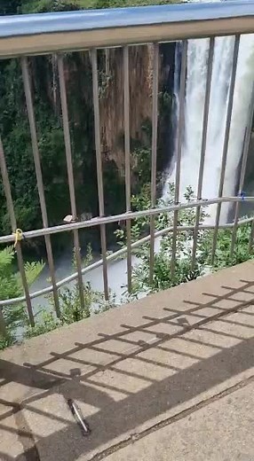 Syed Mohsin Abbas on TikTok