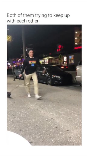 Rough Humor on Instagram: "This footage captures a common behavioral interaction between a domestic pet and its owner in an urban setting. The Subject The video features a young man and a small kitten engaged in a synchronized high-speed run. The feline exhibits a "follow-response," which is common in socialized domestic animals. The Mechanism The kitten utilizes a predatory gallop, characterized by rapid leg cycles and high maneuverability. The owner maintains a matching pace to ensure safety w