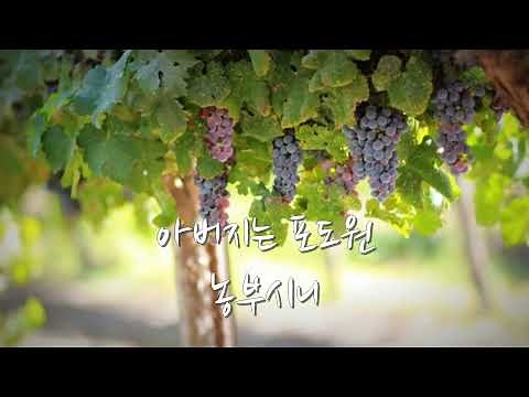 예수님은 생명의 참 포도나무