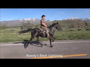 Let's Ride!! DeMille Singlefooting Horses!