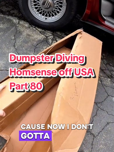Dumpster Diving for Deep Discounts at HomeSense
