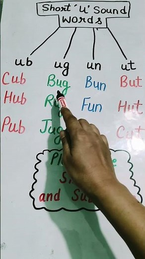 Short U Sound Words | Cup Sun Bus | Phonics for Kids