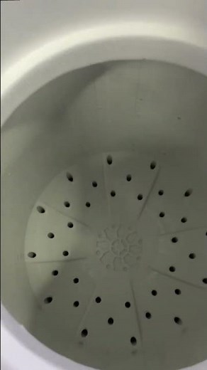 LG 18kg Twin Tub Washing Machine