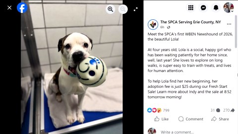 The SPCA serving Erie County starts $25 adoption fee sale