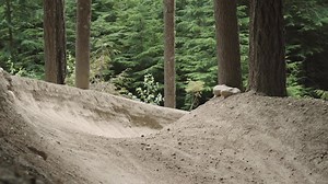 62 reactions | All roads, no limits. We engineer our premium wheels and purpose-built components to give you the ultimate ride experience. | ENVE Composites | Facebook