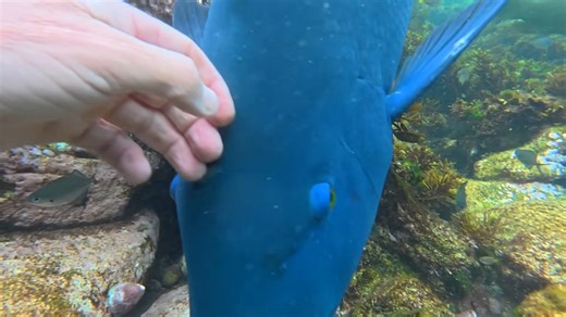 These diamond rings were lost underwater - until today
