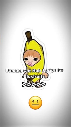 Banana Cat Hub Script bloxfruits #bloxfruits #bloxfruit #bloxfruitscript #bloxfruitsscript #script