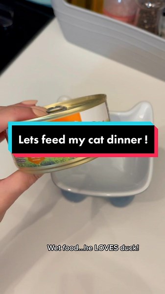 Casper's Delicious Dinner: Duck, Eggs, and More