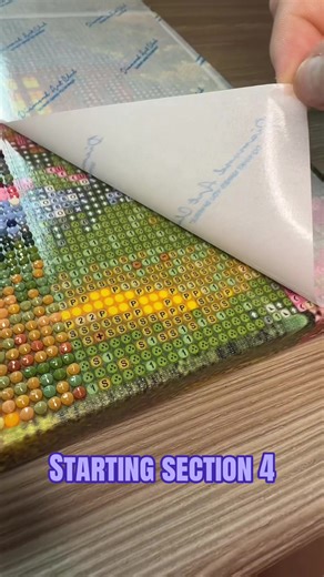 The calm before the diamond storm 🌪️💎 #diamondpainting #satisfying #hobby #excited #addicted