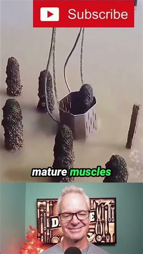 Build them muscles! #jesus #handyman #homerepair #seafood