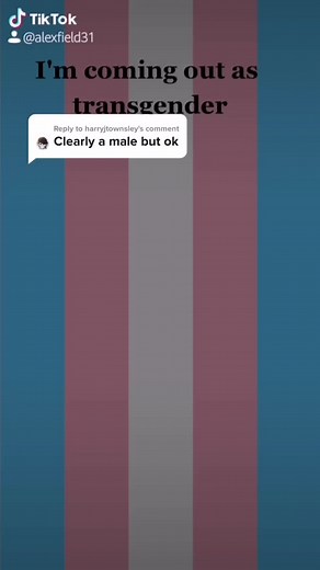 Alex Field on TikTok