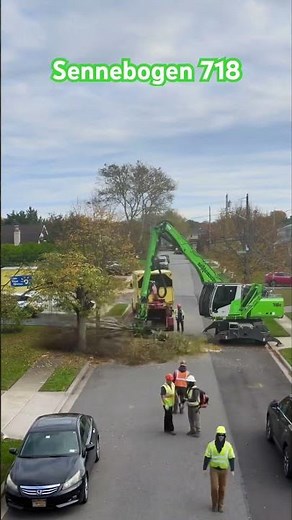 718 time lapse tree removal
