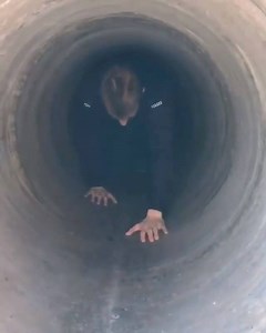 37K views · 336 reactions |  | Formula 1 2026 Season | Facebook