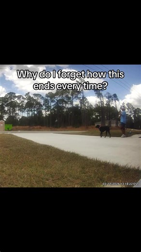 Why do I forget how this ends every time? #dog #dogsoftiktok #dogs #dogwalk #dogwalking