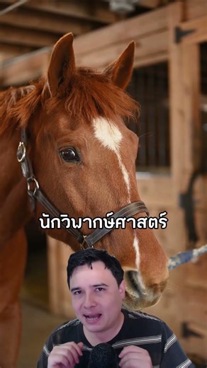 Gambling on photographing flying horses led to film technology. #storytelling #film #history #fac...