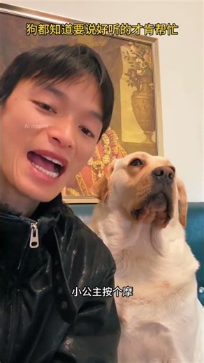 ‘मोटा’ बोला तो इग्नोर, ‘प्रिंसेस’ बोला तो प्यार! 😂❤️ #shorts