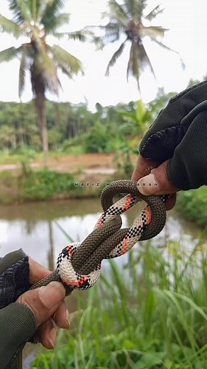1.1M views · 13K reactions | A quick trick for joining ropes  #knot #trick #rope #camping #climbing #tutorials #diy #viral #fyp #fblifestyle | Hafiz Munggaran | Facebook
