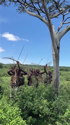 Advasi hunting monkey part1 #ethopia #africa