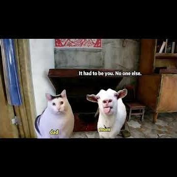 When I was little, I learned how to lock #shorts #cat #catmemes #relatable #funny