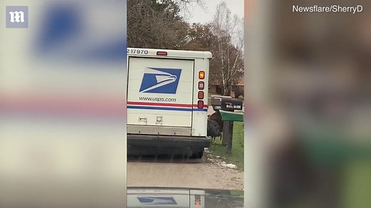 Obsessive turkey chases mailman throughout entire neighbourhood