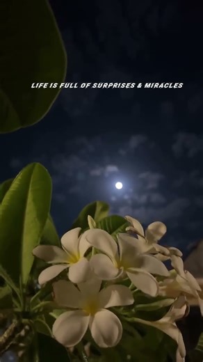 Miracles ✨| Aaruyirae trending musical songs | #moon #flowers