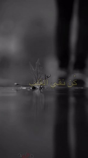 Calm Beauty of a Brown Leaf on Wet Surface