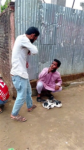 Took the Duck and Sold It Somewhere Else! 😀🤣 #funny #comedy