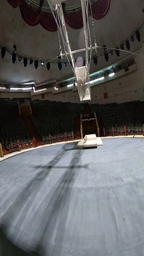 Aerial Acrobatics Performance in a Stunning Arena