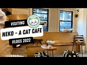 Visiting Neko - The Cat Cafe in Seattle Washington