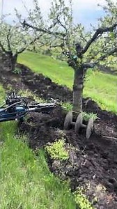 Ommas Professional Interfilare & MTZ 820