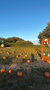 2/4 days ✅ . 2 days left to come and see us at the Pumpkin patch. Full link to the video up now on YouTube. . Tickets for the Master Farms Pumpkin Patch can be bought through Eventbrite search Masterfarms 👇 . mfpumpkins.eventbrite.co.uk . . . . . . #pumpkins #fall #halloween #autumn #jersey #farm #farmer #johndeere #agriculture #pickyourown #farmlife #countryside #masterfarms | Master Farms