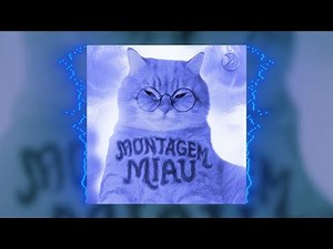 Montagem Miau in osu!