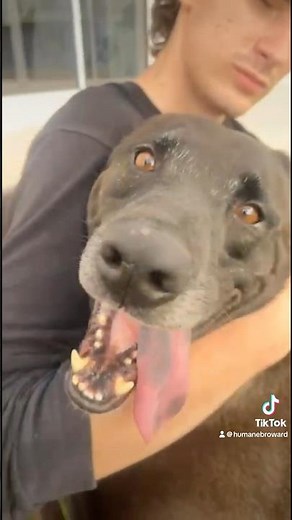 Sam is still dreaming of his freedom ride 🙏💙