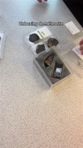 D’où viennent les météorites ? Les météorites sont des fragments de roche ou de métal venus de l’espace, qui survivent à leur traversée de l’atmosphère terrestre et atteignent le sol. Leur origine remonte souvent à des milliards d’années, bien avant la formation de la Terre. La plupart proviennent de la ceinture d’astéroïdes, située entre Mars et Jupiter. Lorsqu’ils entrent en collision, certains astéroïdes projettent des débris qui dérivent dans le système solaire. D’autres météorites peuvent v