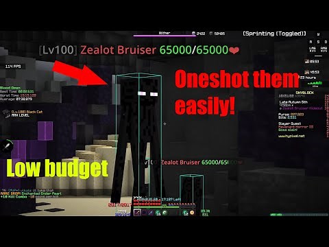 How to Kill the 65K HP Zealots! | Hypixel Skyblock