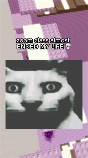 Zoom Class Almost ENDED MY LIFE