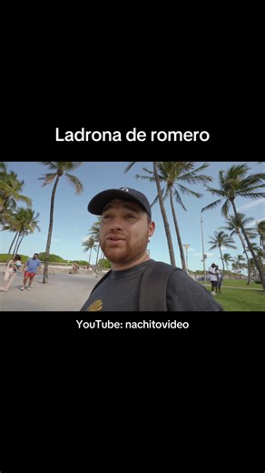 ¿Por qué se robó un romero? Historia corta sobre la ladrona de romero