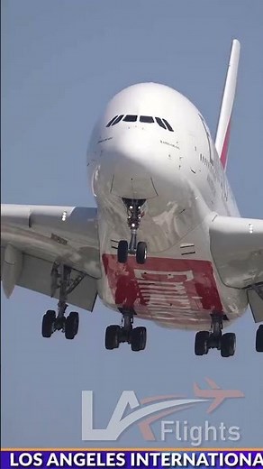 A380 SCREAMING OVERHEAD!! #aviation #lax #airbus